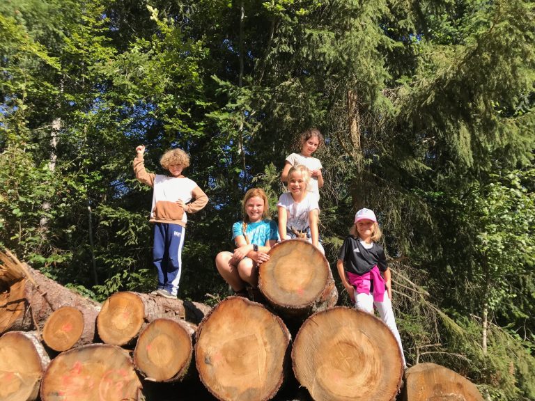 Spiel, Spaß und Abenteuer draußen in der Natur. Kinder auf Baumstämmen