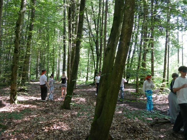 Kinder in einem Wald bei einer Vertrauensübung